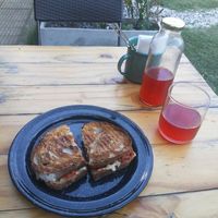 Tostado campo ao pesto y kombucha casera de hibisco at Vrote in Montevideo
