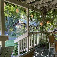 Lovely outdoor atmosphere   at The Tree House Tavern & Bistro in Warwick