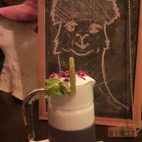 Error 404 at Alpaca Bar in Tel Aviv