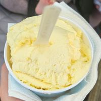 Mango flavour sorbet at Cannone Gelato in Austin