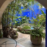   at Muchas Vidas in Merida