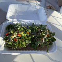   at The Branch Line in Santa Rosa