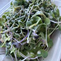   at The Branch Line in Santa Rosa