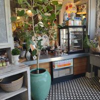  at The Branch Line in Santa Rosa