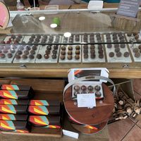 truffle selection! (2/18/24)  at Nibble Chocolate - Little Italy in San Diego