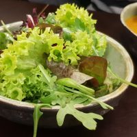 Small salad at Tula Bistro in Salzburg