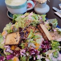 Veganer Salat mit Tofu (leider als Hauptspeise sehr wenig) at Tula Bistro in Salzburg