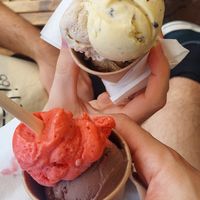  at Berry's - Marinero in Tenerife