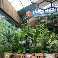 Interior   at Sarajevo Cafe Jardin in San Cristobal De Las Casas