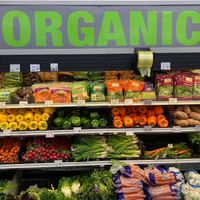 Organic veggies! at Chinese Xiang Cuisine in Roseburg