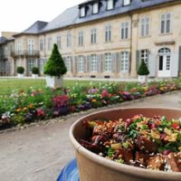 Bowl to go at Naupaka in Bayreuth