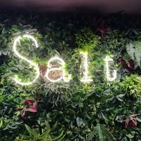 Decor 2 at SALT in Hamilton