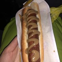 vegan hotdog  at Pylsuvagninn in Selfoss