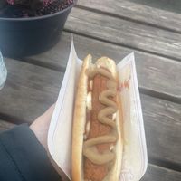 vegan dog with toppings underneath  at Pylsuvagninn in Selfoss