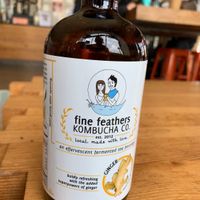 Variety of Kombucha drinks from Fine Feathers Kombucha Co. at Portfolio Coffeehouse in Long Beach