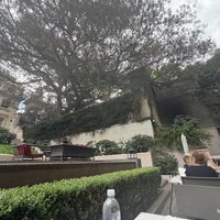   at Gioia Cocina Botánica in Buenos Aires