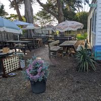 Outdoor Seating Area at The Store in Ventnor