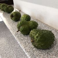 Soursops!!  at Garapan Public Market in Saipan