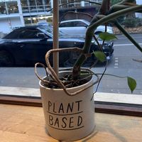   at Hempies - Händelstraße in Cologne