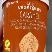 Vegan caramel ice cream at Picard in Paris