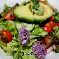 Raw Garden at The Beginnings - Skolas in Riga