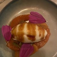   at Ultimo in Nijmegen