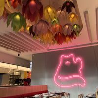   at Hello Beasty in Auckland