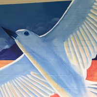  at Tea at 1024 in Honolulu