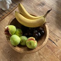   at Casale Hortensiae in Orte