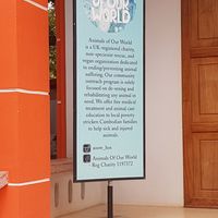 Respect ! at HeyBong - The Healthy Secrets  in Siem Reap