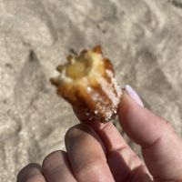   at Churros El Topo in Buenos Aires