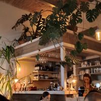  at Bio Cafe Blütezeit in Vienna