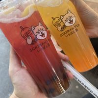   at Ichiban Tea in Innsbruck