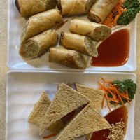 Spring rolls & tofu appetizer  at Thai Orchid in Stroudsburg