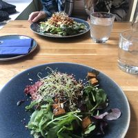   at Trip Cafe in Tallinn
