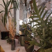 Interior at Trip Cafe in Tallinn
