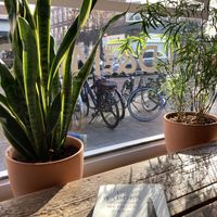   at Wild & The Moon - Van Woustraat in Amsterdam