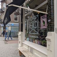   at Wild & The Moon - Van Woustraat in Amsterdam