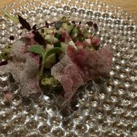   at Ratatouille in Harderwijk