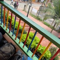Organic crops outside the restaurant  at Zona ProSalud in Guatape