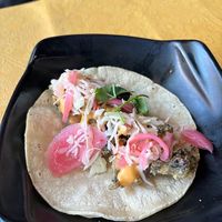  at Mayan Kitchen in Sunnyvale