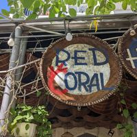  at Red Coral Indian Food in Ha Long