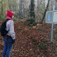 Lovely forest walk with information about the Krsna religion  at Govinda's Restaurant in Septon