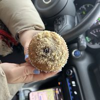 Vegan blueberry muffin  at Coffee House in Rovaniemi