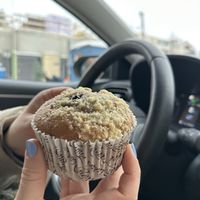 Vegan blueberry muffin  at Coffee House in Rovaniemi