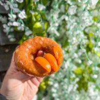 Pumpkin apricot! at Duke's Donut Worx in Mashpee