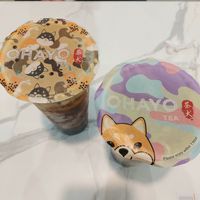  at Ohayo Tea in Manchester