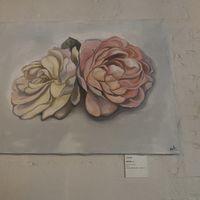   at Coletta in New York City