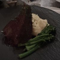   at Coletta in New York City