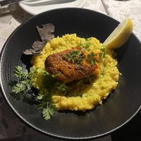 Saffron risotto with salmon   at Coletta in New York City